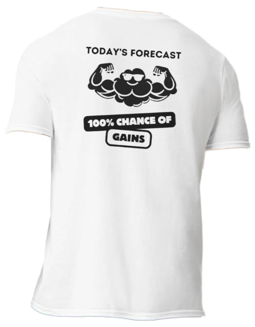 Gains Forecast